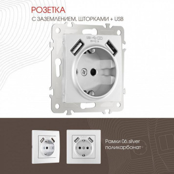 Розетка с заземлением и со шторкой и 2хUSB, без рамки Arte Milano am-206 206.47-1.silver-1