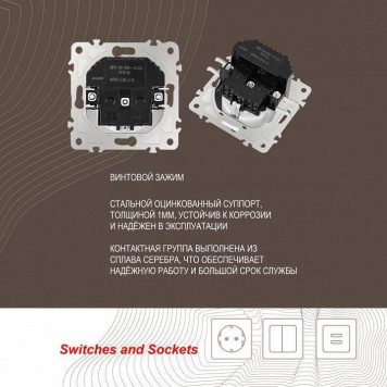 Розетка с заземлением и со шторкой и 2хUSB, без рамки Arte Milano am-206 206.47-1.white-3