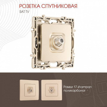 ТВ-розетка без рамки Arte Milano am-217 217.42-1.shampan-1