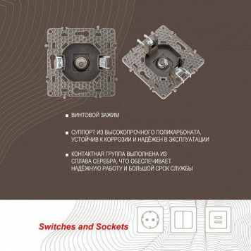 ТВ-розетка без рамки Arte Milano am-217 217.42-1.shampan-3