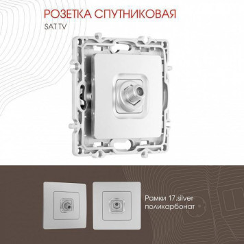 ТВ-розетка без рамки Arte Milano am-217 217.42-1.silver-1
