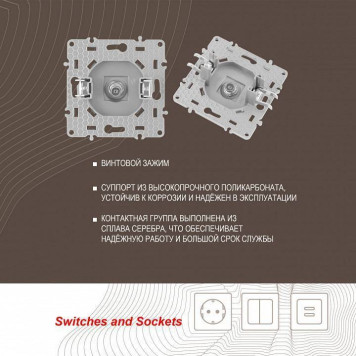 ТВ-розетка без рамки Arte Milano am-217 217.42-1.silver-3