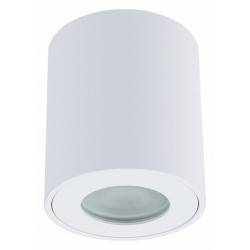 Накладной светильник Arte Lamp Tino A1469PL-1WH