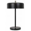 Настольная лампа декоративная Arte Lamp Skat A7052LT-2BK