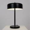Настольная лампа декоративная Arte Lamp Skat A7052LT-2BK