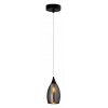 Подвесной светильник Arte Lamp Barry A7951SP-1BK