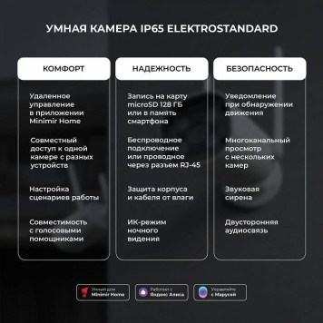 Видеокамера безопасности Elektrostandard WF a069150-5