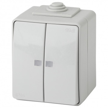 Выключатель двухклавишный с подсветкой Эра Эра Эксперт 11-1605-03