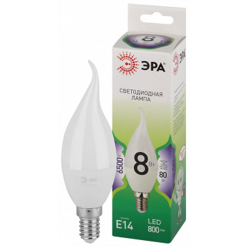 Лампа светодиодная Эра Green Line LED BXS-8W-865-E14 GL-1