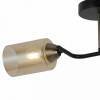Светильник на штанге ILLUMICO Bice IL8148-2COU-79 BK BR Bice