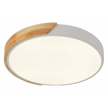 Накладной светильник Natali Kovaltseva Scandinavian LED LAMPS 81181-1