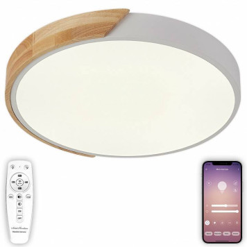 Накладной светильник Natali Kovaltseva Scandinavian LED LAMPS 81181-4