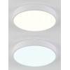 Накладной светильник Natali Kovaltseva LED LAMPS 81111/5C