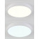 Накладной светильник Natali Kovaltseva LED LAMPS 81111/5C