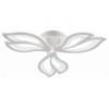Потолочная люстра Natali Kovaltseva FORTUNA LED LAMPS 81107/2C