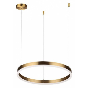 Подвесной светильник Lumion Echo 6531/34L-1