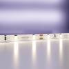 Лента светодиодная Maytoni Led strip 20008