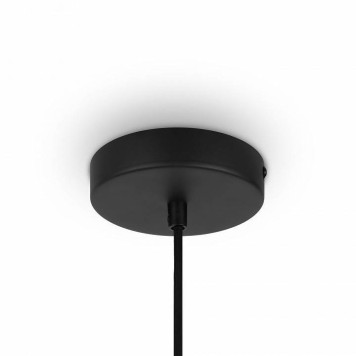 Подвесной светильник Maytoni Roots MOD194PL-01W-5