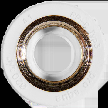 Муфта комбинированная Pro Aqua d= 20-3/4 PP-R ВР Белая (PA22010P)-1