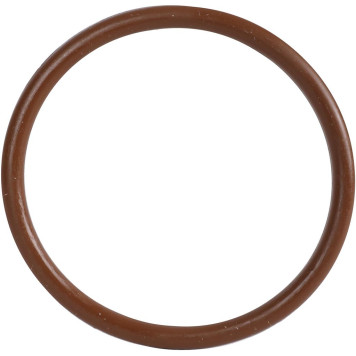 Уплотнительное кольцо ROMMER из FPM, 54 (RSS-0028-000054)