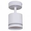 Спот Reluce Technical 53001 53001-9.5-001IL SPOT LIGHT GX53 WT