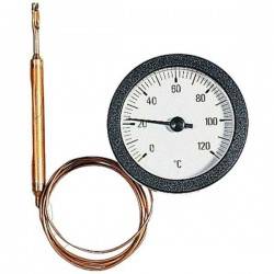 Дистанционный термометр Watts ТС 50/100.