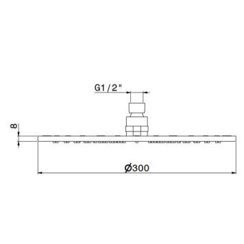 Newform X-STEEL 316 Верхний душ, d30см, без кронштейна, G1/2 , цвет: INOX. 26534X.50.050-1