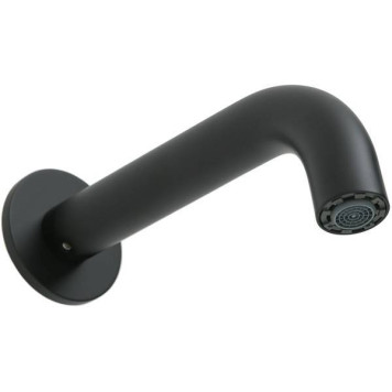 Allen Brau Priority Излив, цвет: черный матовый 5.31018-31-2