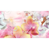 Dec Vision Panno B КПН16VisionB 25х45