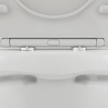 DX35C8600SC Унитаз-компакт безободковый, с сиденьем микролифт-7