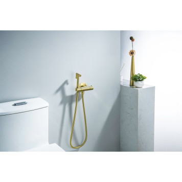 AQ1027BG ОБЕРОН комплект для гигиенического душа термостатический встроенный (смеситель + гигиеническая лейка + шланг), шлиф. золото AQ1027BG-2