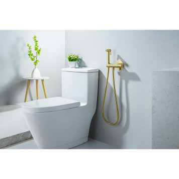 AQ1027BG ОБЕРОН комплект для гигиенического душа термостатический встроенный (смеситель + гигиеническая лейка + шланг), шлиф. золото AQ1027BG-3