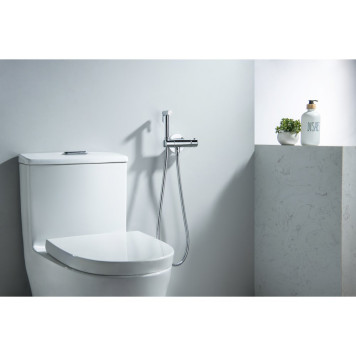 AQ1027CR ОБЕРОН комплект для гигиенического душа термостатический встроенный (смеситель + гигиеническая лейка + шланг) AQ1027CR-3