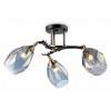 Люстра на штанге Ambrella Light TR TR303038