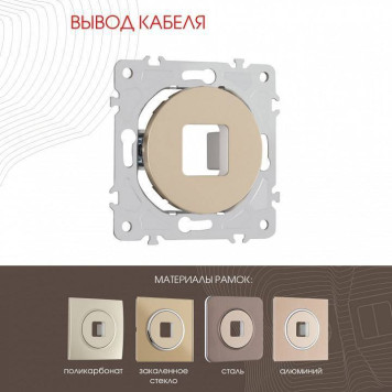 Розетка для вывод кабеля без рамки Arte Milano am-202 202.49-1.shampan-1