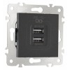 Розетка USB, без рамки Arte Milano am-203 203.46-1.black