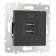 Розетка USB, без рамки Arte Milano am-203 203.46-1.black