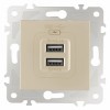 Розетка USB, без рамки Arte Milano am-203 203.46-1.shampan