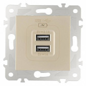 Розетка USB, без рамки Arte Milano am-203 203.46-1.shampan