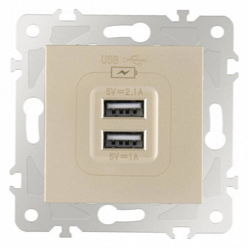 Розетка USB, без рамки Arte Milano am-203 203.46-1.shampan