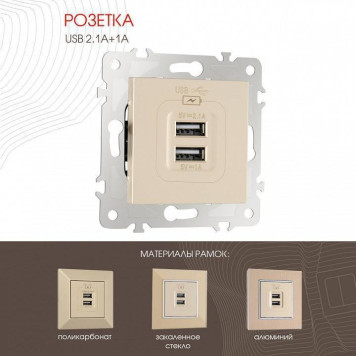 Розетка USB, без рамки Arte Milano am-203 203.46-1.shampan-1