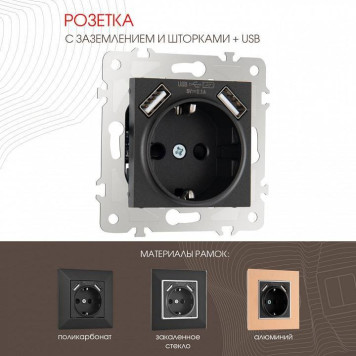 Розетка с заземлением и со шторкой и 2хUSB, без рамки Arte Milano am-203 203.47-1.black-1