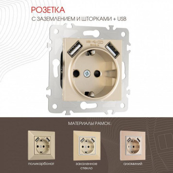 Розетка с заземлением и со шторкой и 2хUSB, без рамки Arte Milano am-203 203.47-1.shampan-1