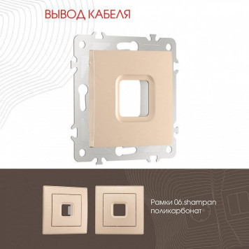 Розетка для вывод кабеля без рамки Arte Milano am-206 206.49-1.shampan-1