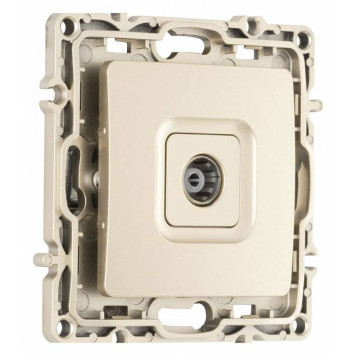 ТВ-розетка без рамки Arte Milano am-217 217.43-1.shampan-1