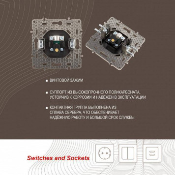 ТВ-розетка без рамки Arte Milano am-217 217.43-1.shampan-3