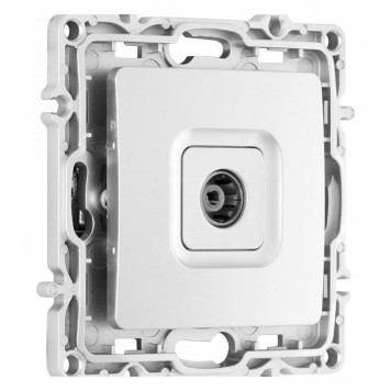 ТВ-розетка без рамки Arte Milano am-217 217.43-1.silver-1