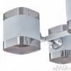 Потолочная люстра Arte Milano AMALFI-329809 329809/6 WH+CR