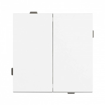 Выключатель двухклавишный без рамки Arlight SWT 054058-2