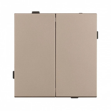 Выключатель двухклавишный без рамки Arlight SWT 054061-2